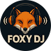 Portret Foxy DJ